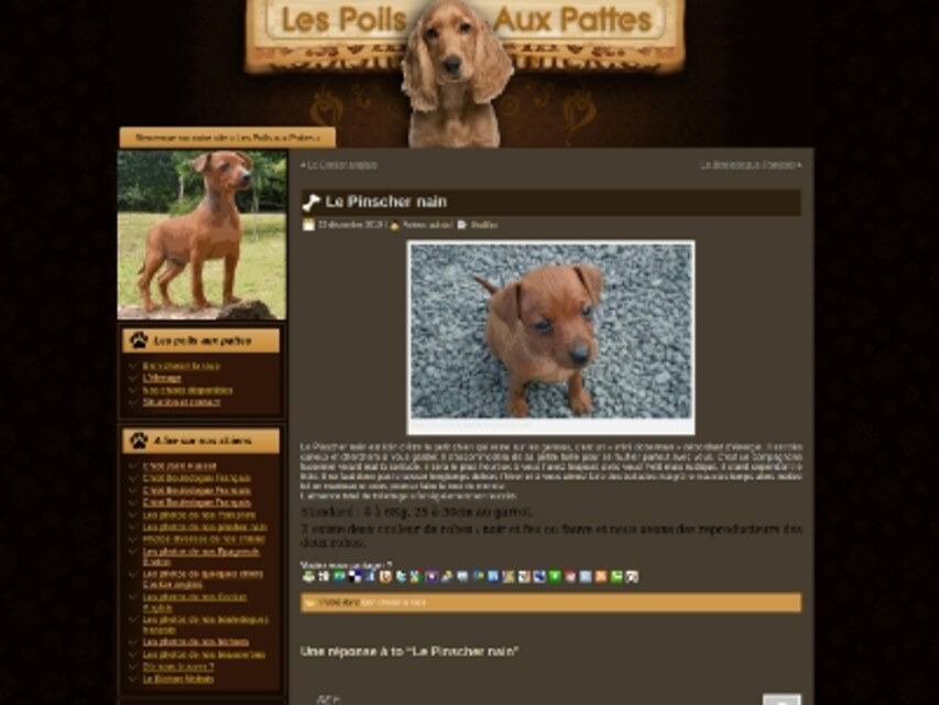 SEO post image